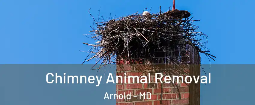 Chimney Animal Removal Arnold - MD