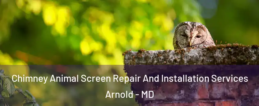  Chimney Animal Screen Repair And Installation Services Arnold - MD