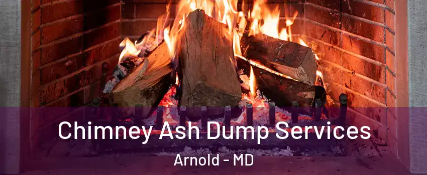  Chimney Ash Dump Services Arnold - MD