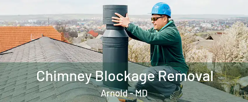 Chimney Blockage Removal Arnold - MD