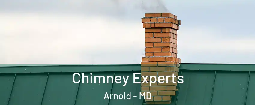  Chimney Experts Arnold - MD