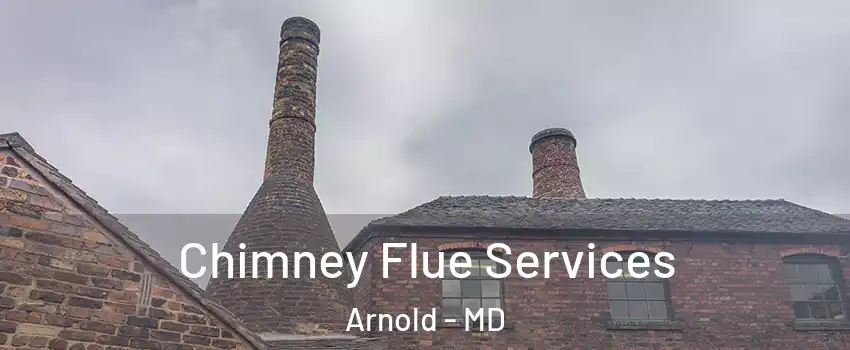  Chimney Flue Services Arnold - MD