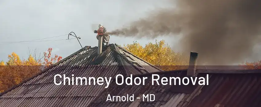  Chimney Odor Removal Arnold - MD