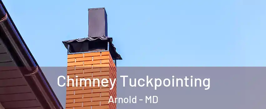  Chimney Tuckpointing Arnold - MD
