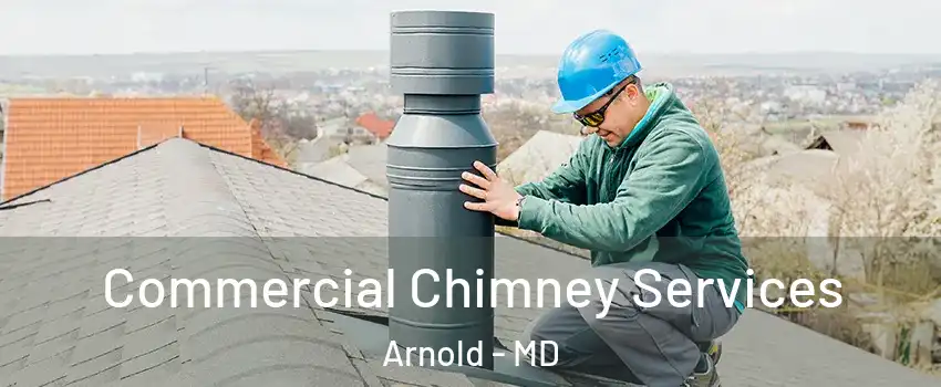  Commercial Chimney Services Arnold - MD