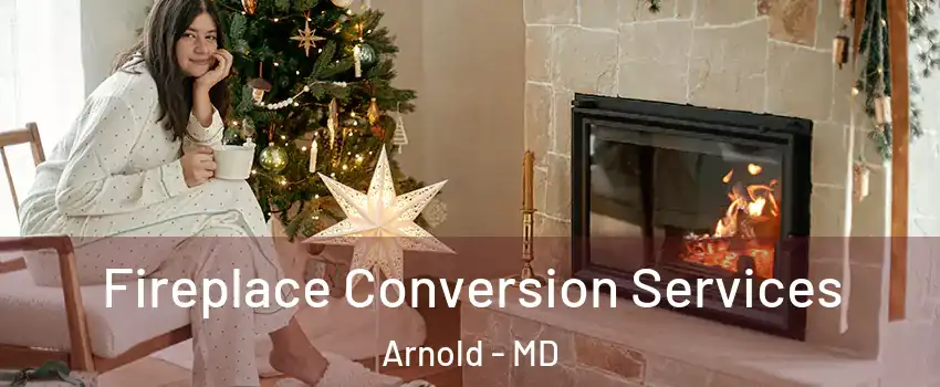  Fireplace Conversion Services Arnold - MD