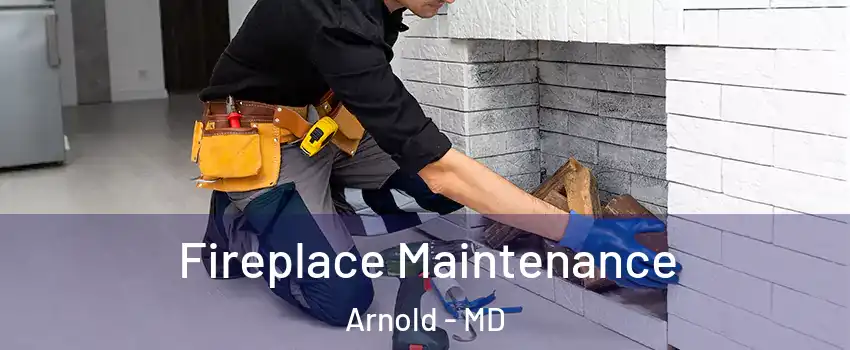  Fireplace Maintenance Arnold - MD