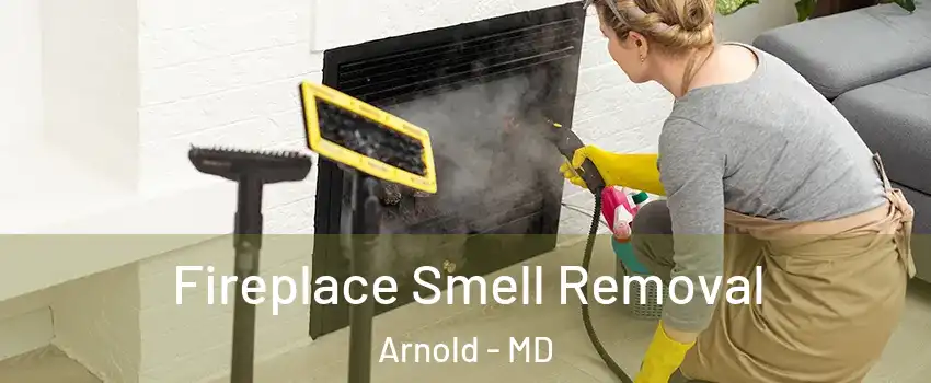  Fireplace Smell Removal Arnold - MD