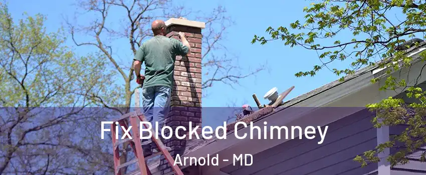  Fix Blocked Chimney Arnold - MD