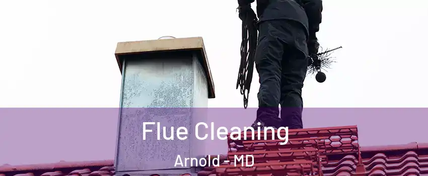  Flue Cleaning Arnold - MD