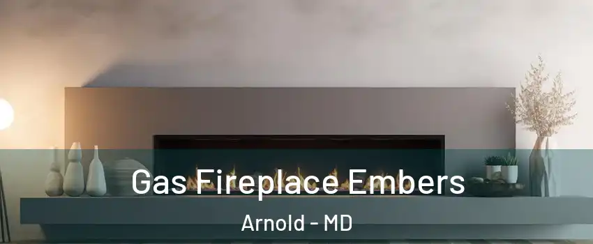  Gas Fireplace Embers Arnold - MD