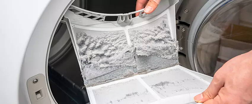 Best Dryer Lint Removal Company in Arnold, Maryland