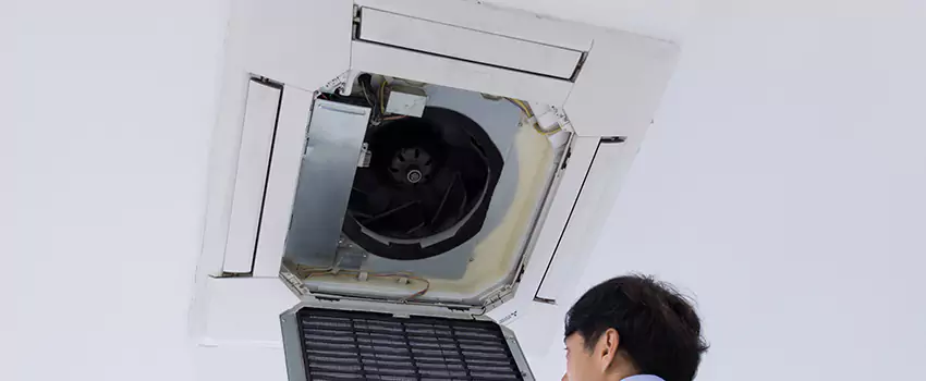 Benefits of Professional Air Duct Cleaning in Arnold, Maryland