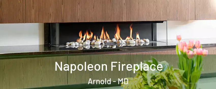  Napoleon Fireplace Arnold - MD